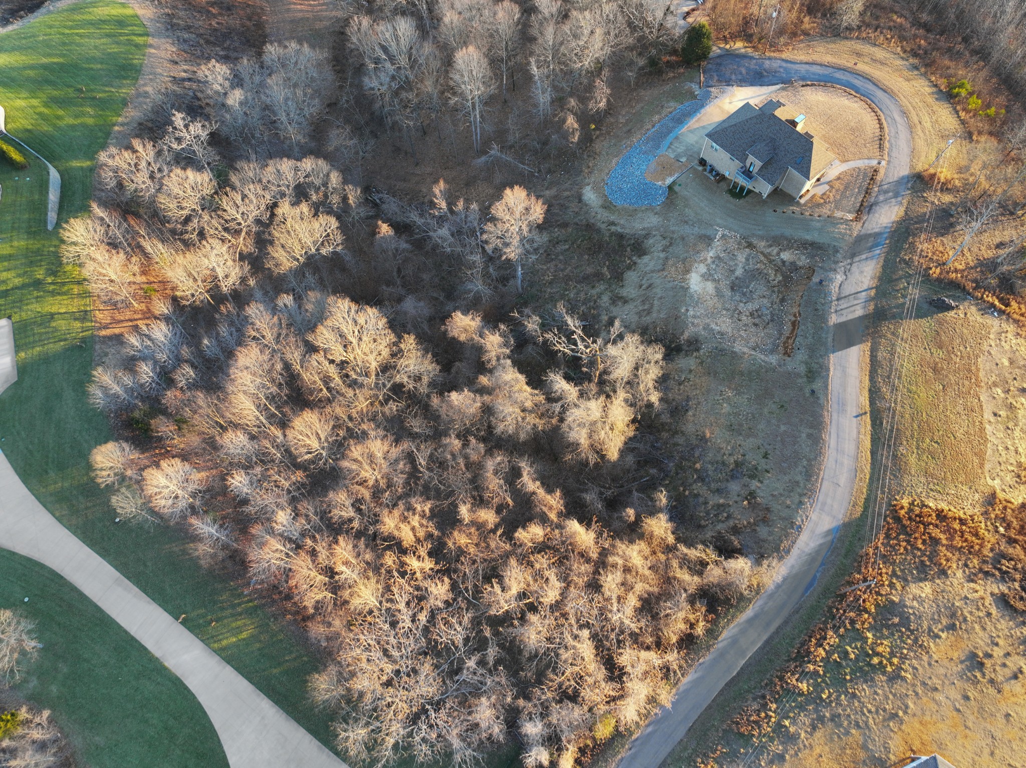 36 River Trace Road Dover, TN 37058 - Photo 3 of 13 a picture of tree