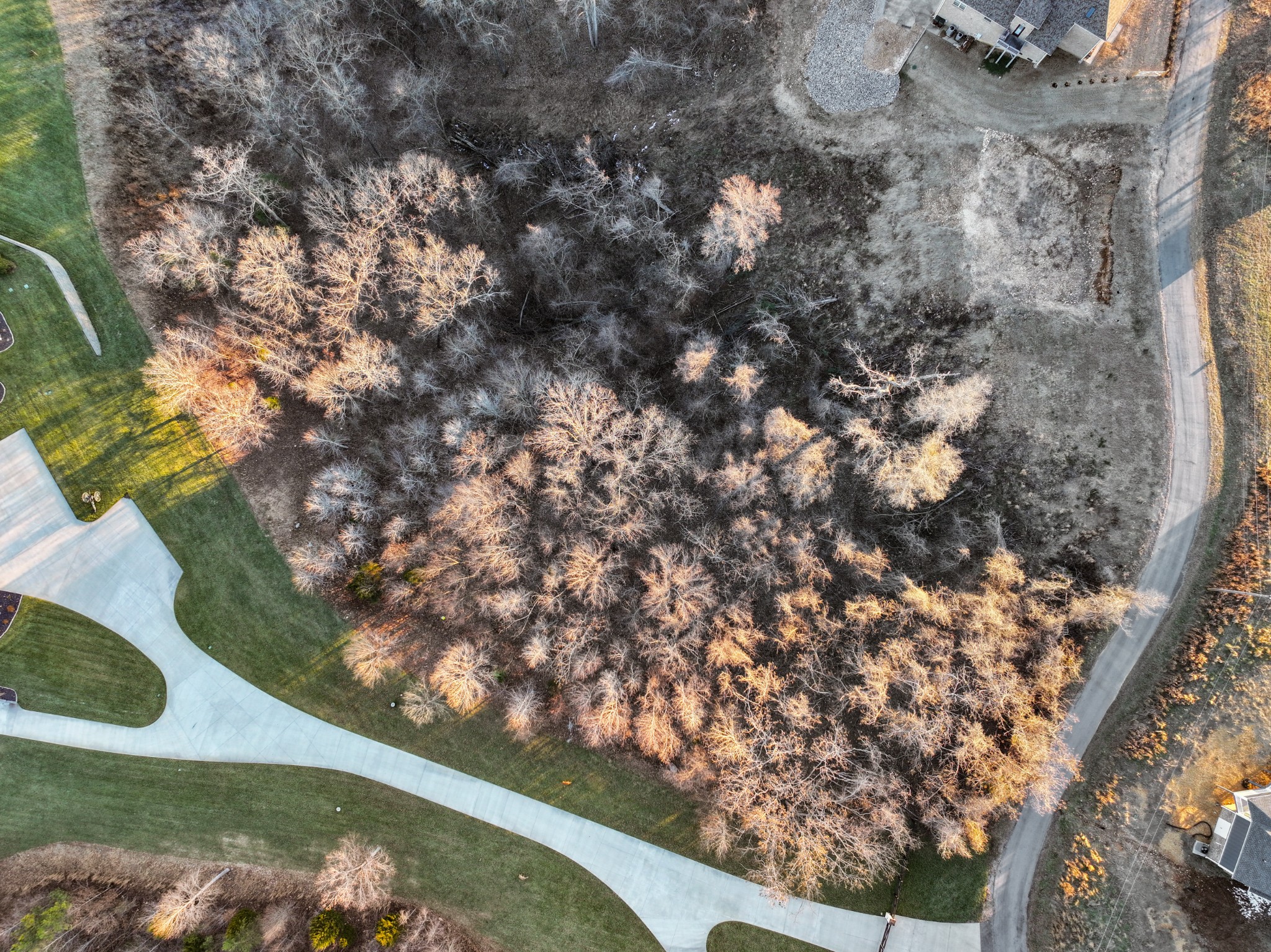 36 River Trace Road Dover, TN 37058 - Photo 8 of 13 a view of a tree with a tree