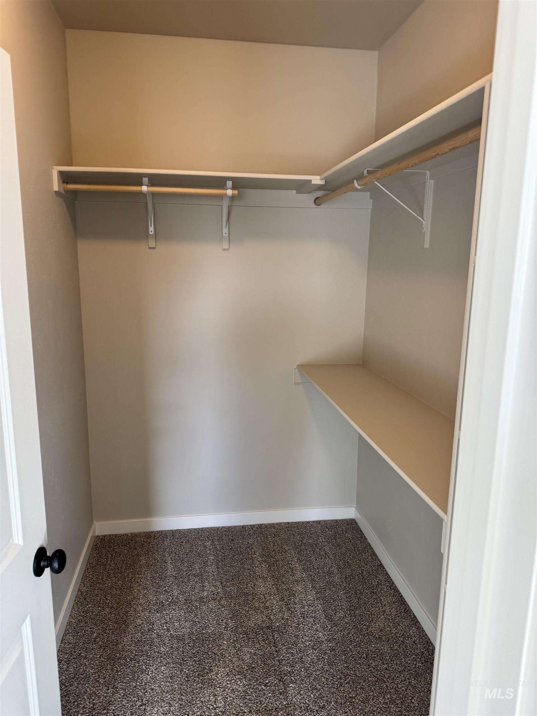 2064 Harrison Street South Twin Falls, ID 83301 - Photo 14 of 29 Walk in closet with carpet