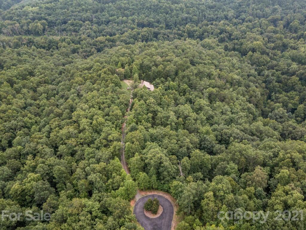 723 North Highland Road, Unit 9 10 11 Mill Spring, NC 28756 - Photo 38 of 46 a view of a forest with a toilet