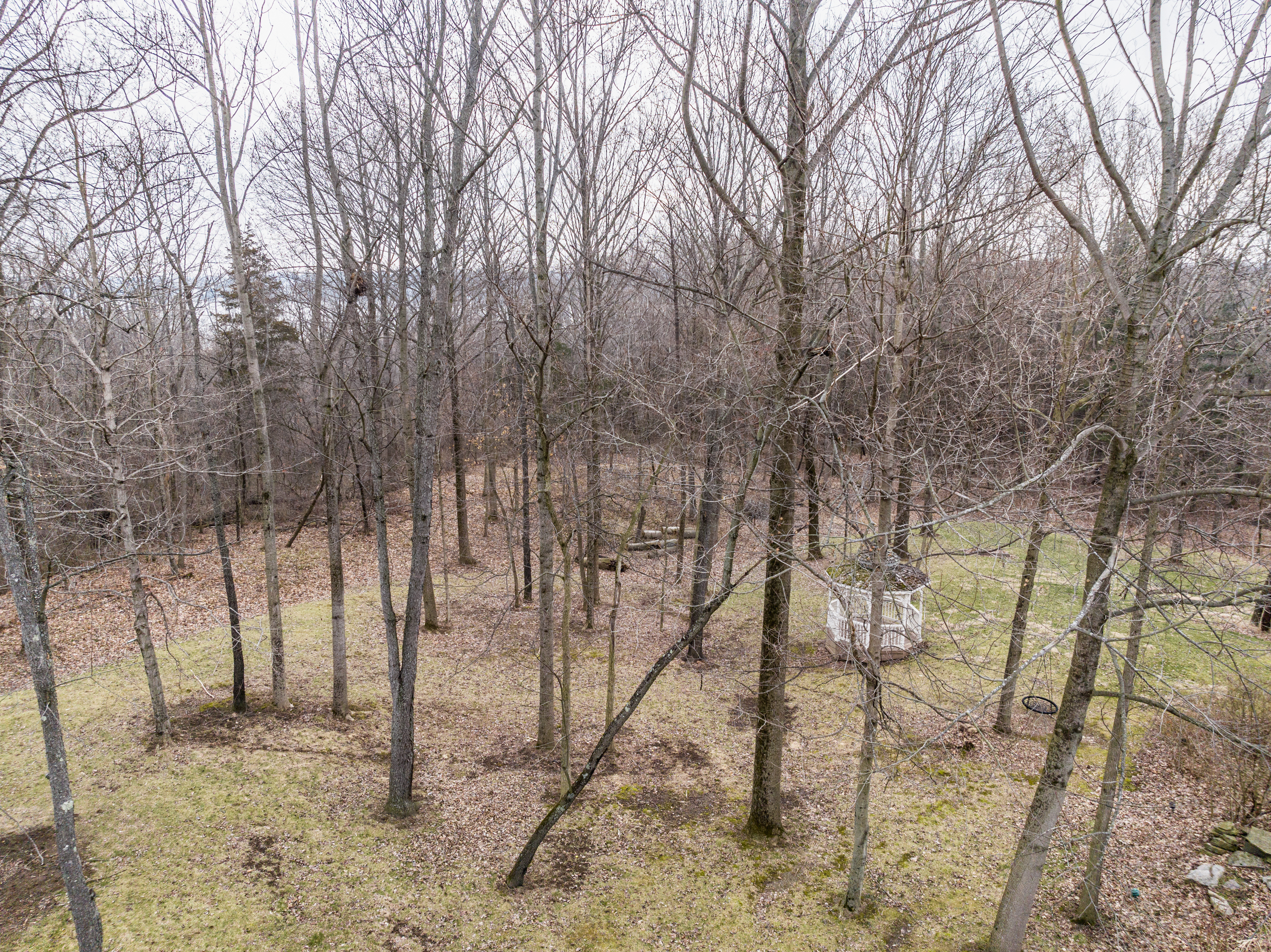 9941 Fall Creek Road Indianapolis, IN 46256 - Photo 5 of 37 Gallery Image 5