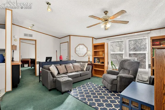 a living room with furniture a rug and a window