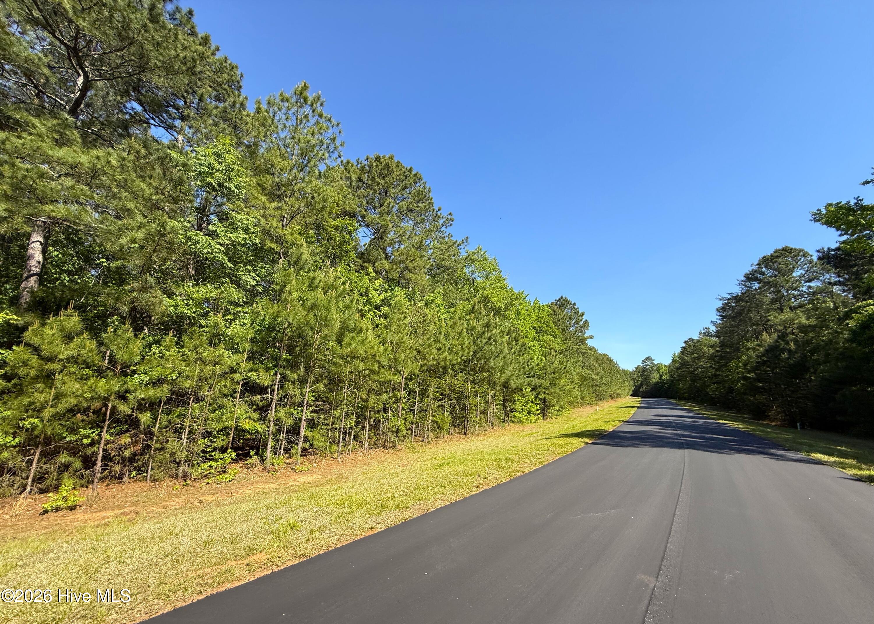 193 North State Lane Rockingham, NC 28379 - Photo 4 of 15 IMG_2017