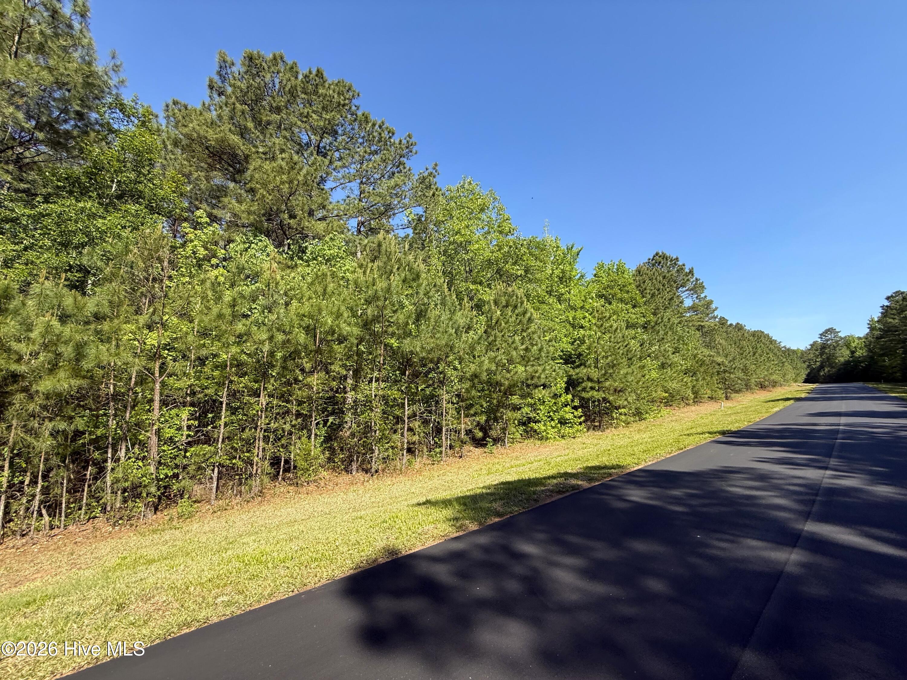 193 North State Lane Rockingham, NC 28379 - Photo 5 of 15 IMG_2018