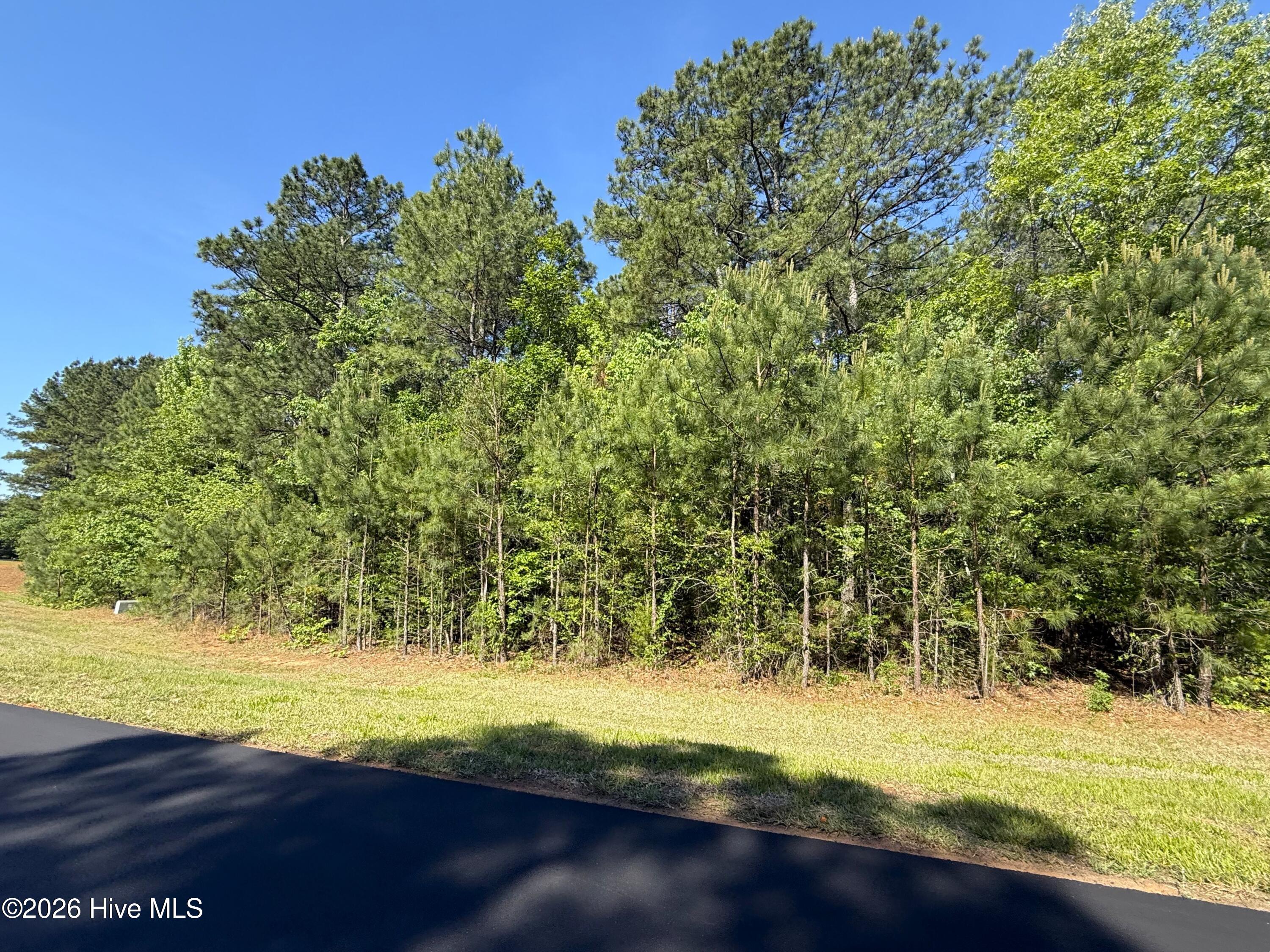 193 North State Lane Rockingham, NC 28379 - Photo 6 of 15 IMG_2019