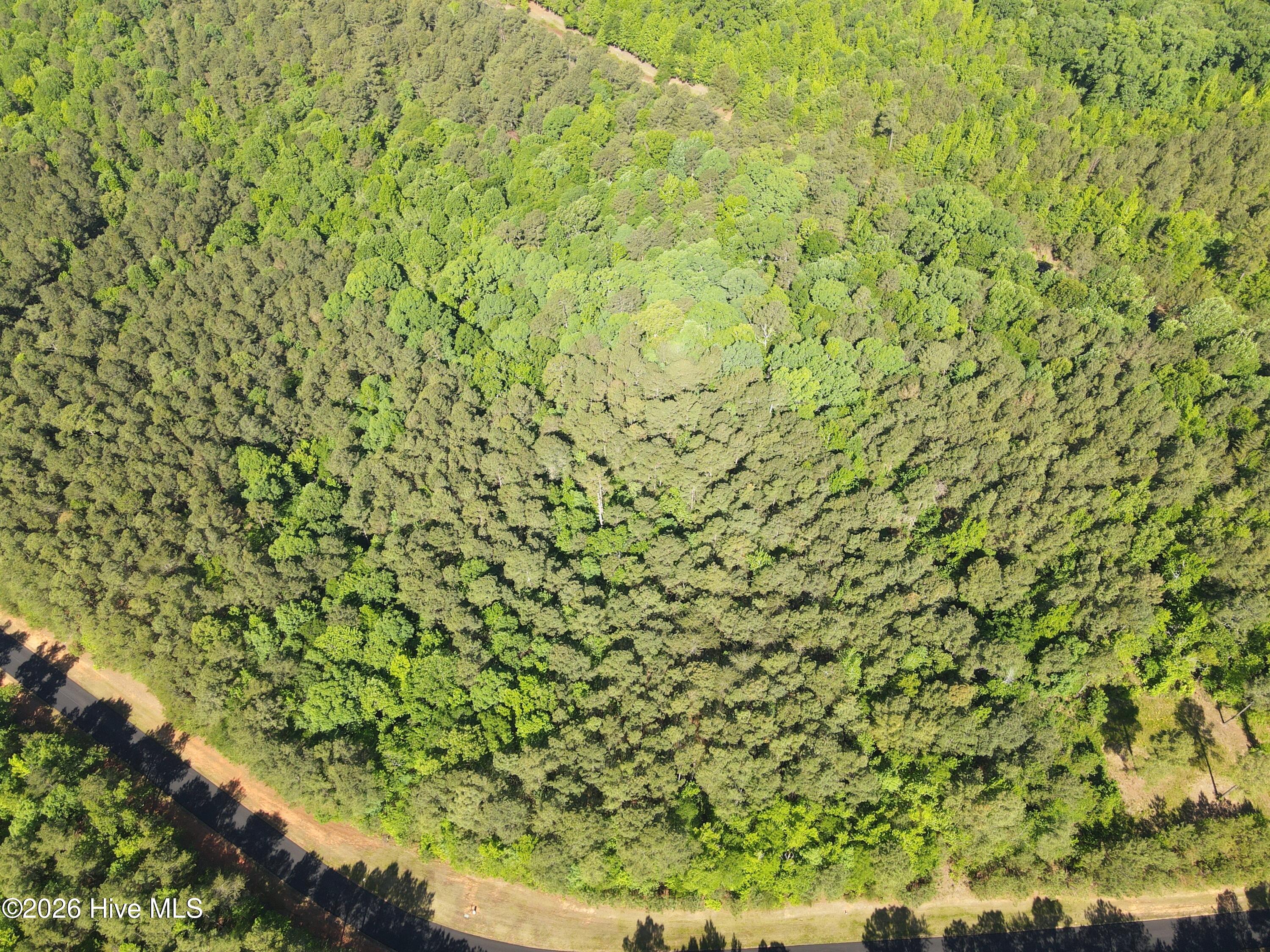 193 North State Lane Rockingham, NC 28379 - Photo 8 of 15 dji_fly_20260505_100206_395_177798974344