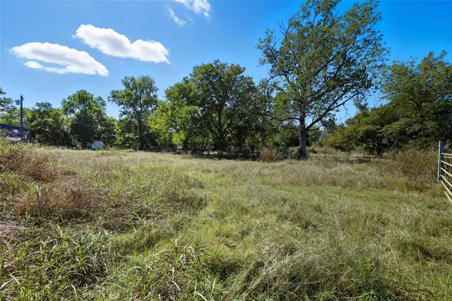 a view of a field with trees in the background