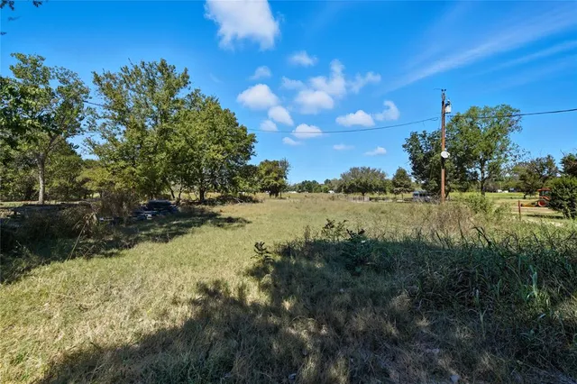 a view of a yard with a tree
