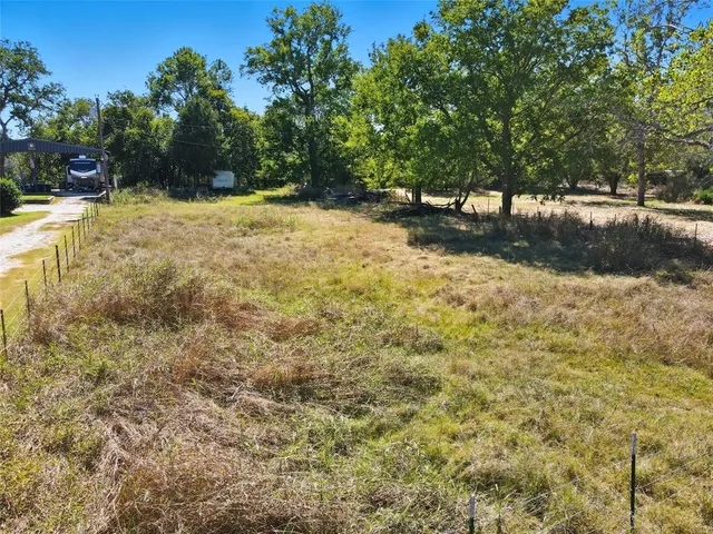 a view of a yard with large trees