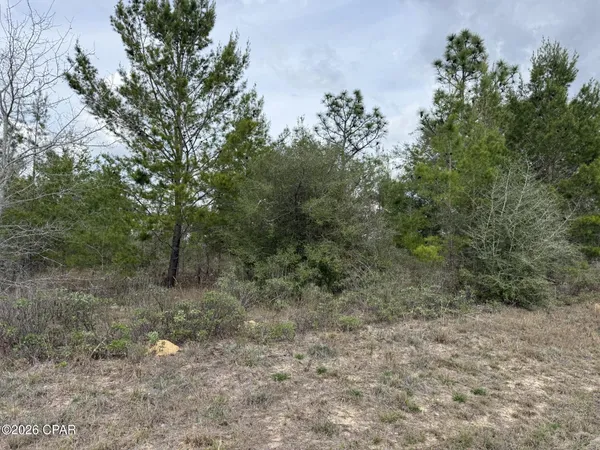 $11,500 | Xxx Fairbanks Drive, Chipley, FL 32428