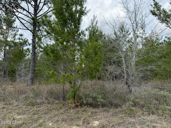 $11,500 | Xxx Fairbanks Drive, Chipley, FL 32428