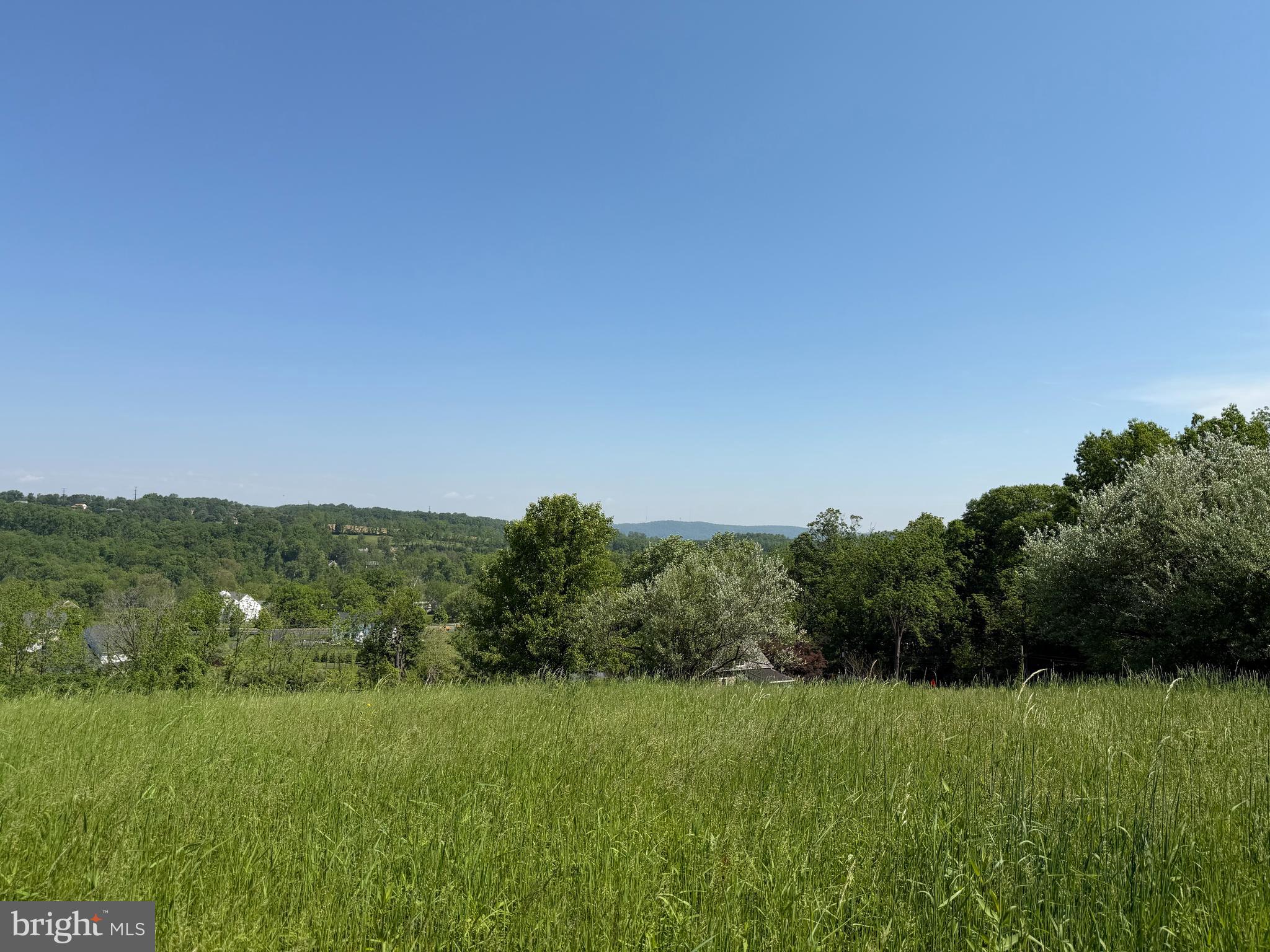 a view of a green field with lots of plants in it