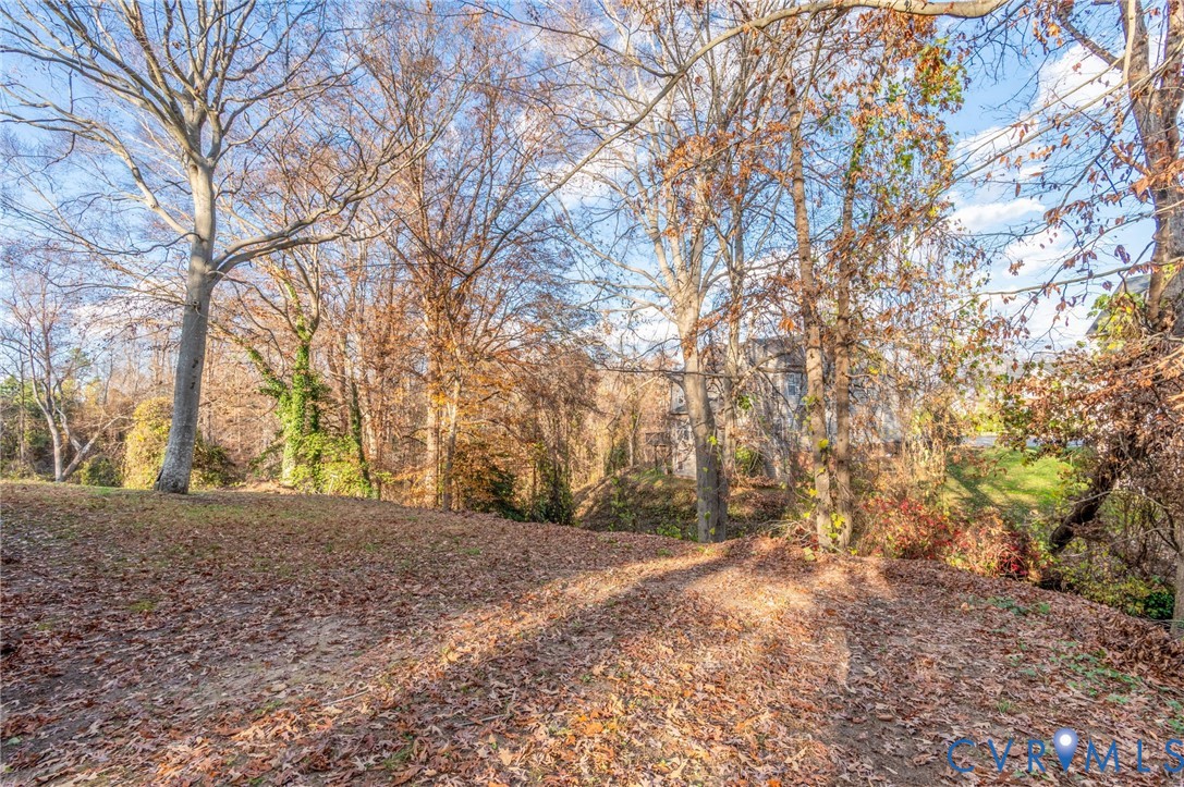 8513 Spring Hollow Drive Richmond, VA 23227 - Photo 48 of 49 a view of large trees with yard