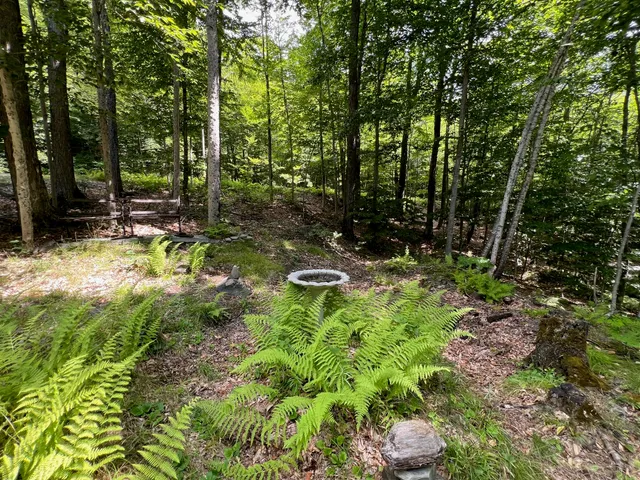 $99,000 | Lot4.31-30 Bodfish Valley Road, Guilford, ME 04443