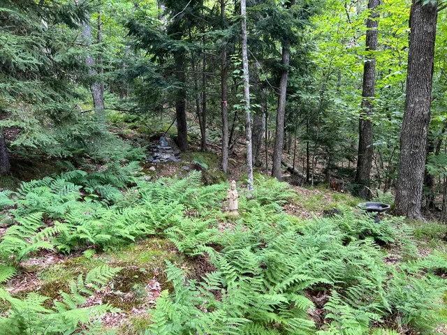 $99,000 | Lot4.31-30 Bodfish Valley Road, Guilford, ME 04443