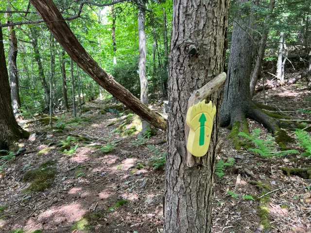 $99,000 | Lot4.31-30 Bodfish Valley Road, Guilford, ME 04443