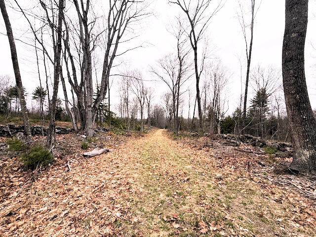 R2 Map Road Limington, ME 04049 - Photo 5 of 9