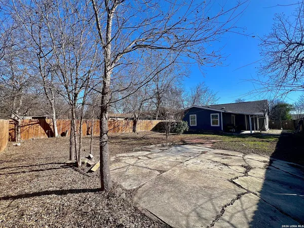 a view of a yard with large trees
