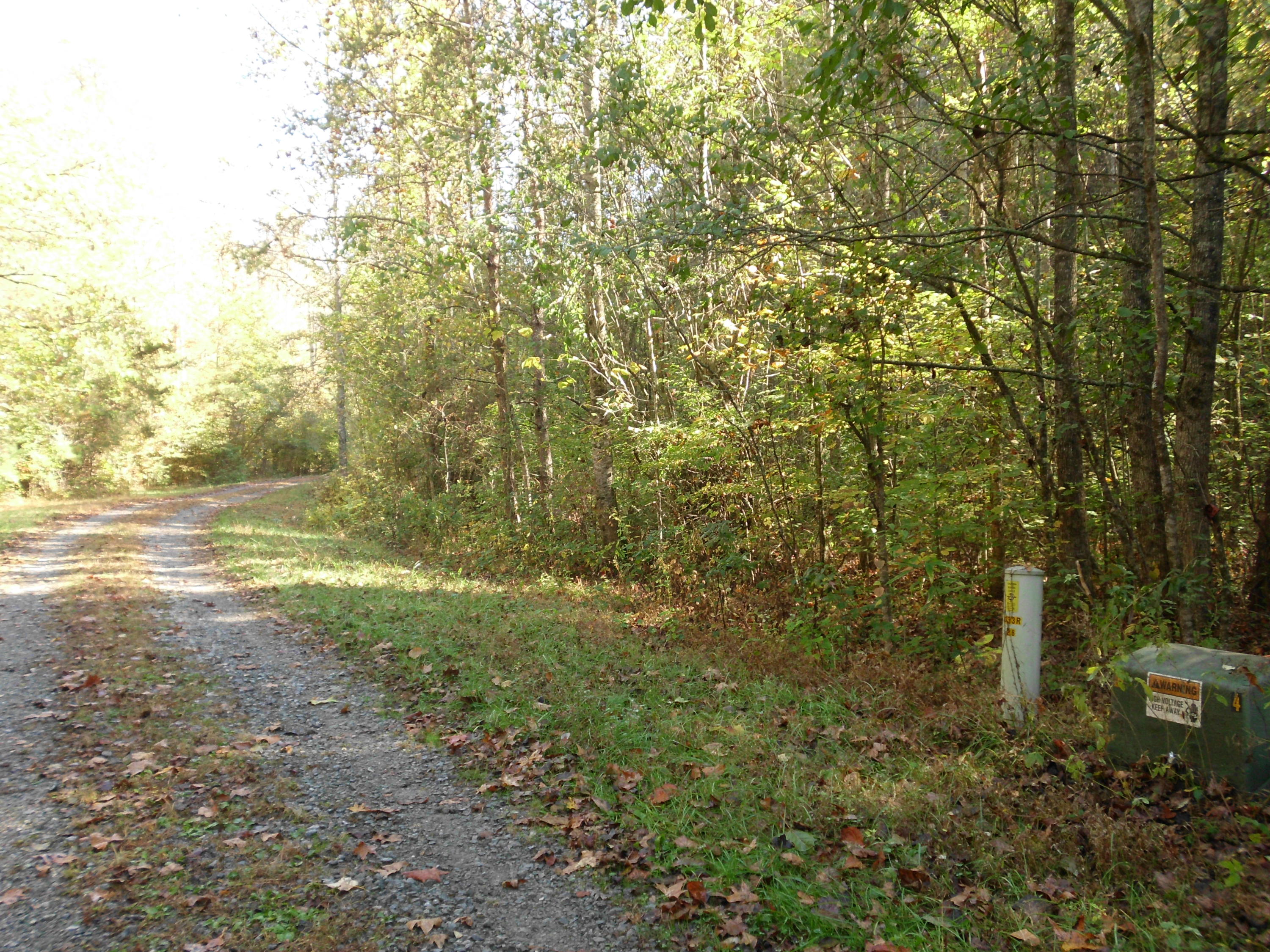 Smokey Run Road Tellico Plains, TN 37385 - Photo 2 of 16 SANY0075