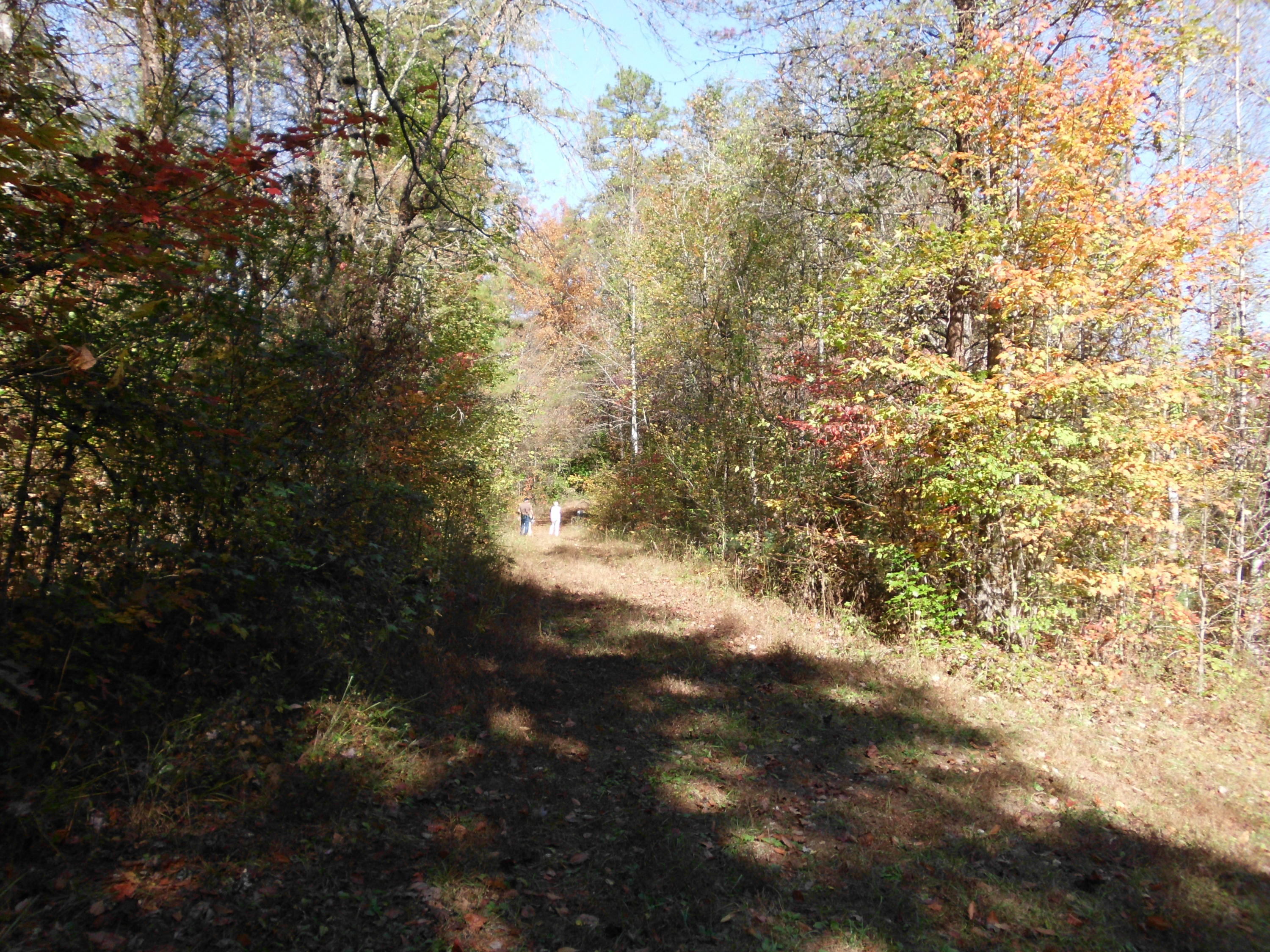 Smokey Run Road Tellico Plains, TN 37385 - Photo 11 of 16 SANY0085