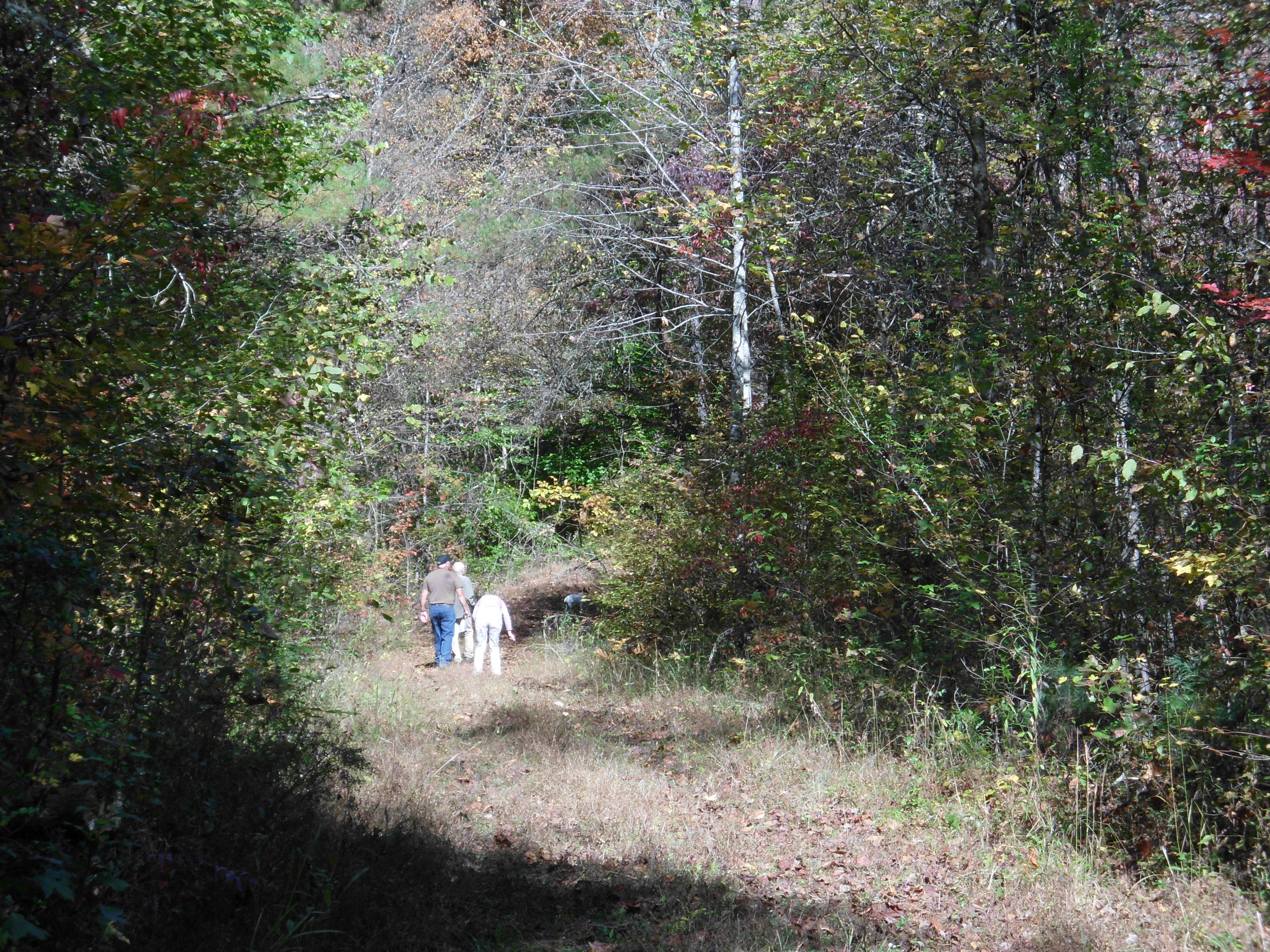 Smokey Run Road Tellico Plains, TN 37385 - Photo 12 of 16 SANY0086