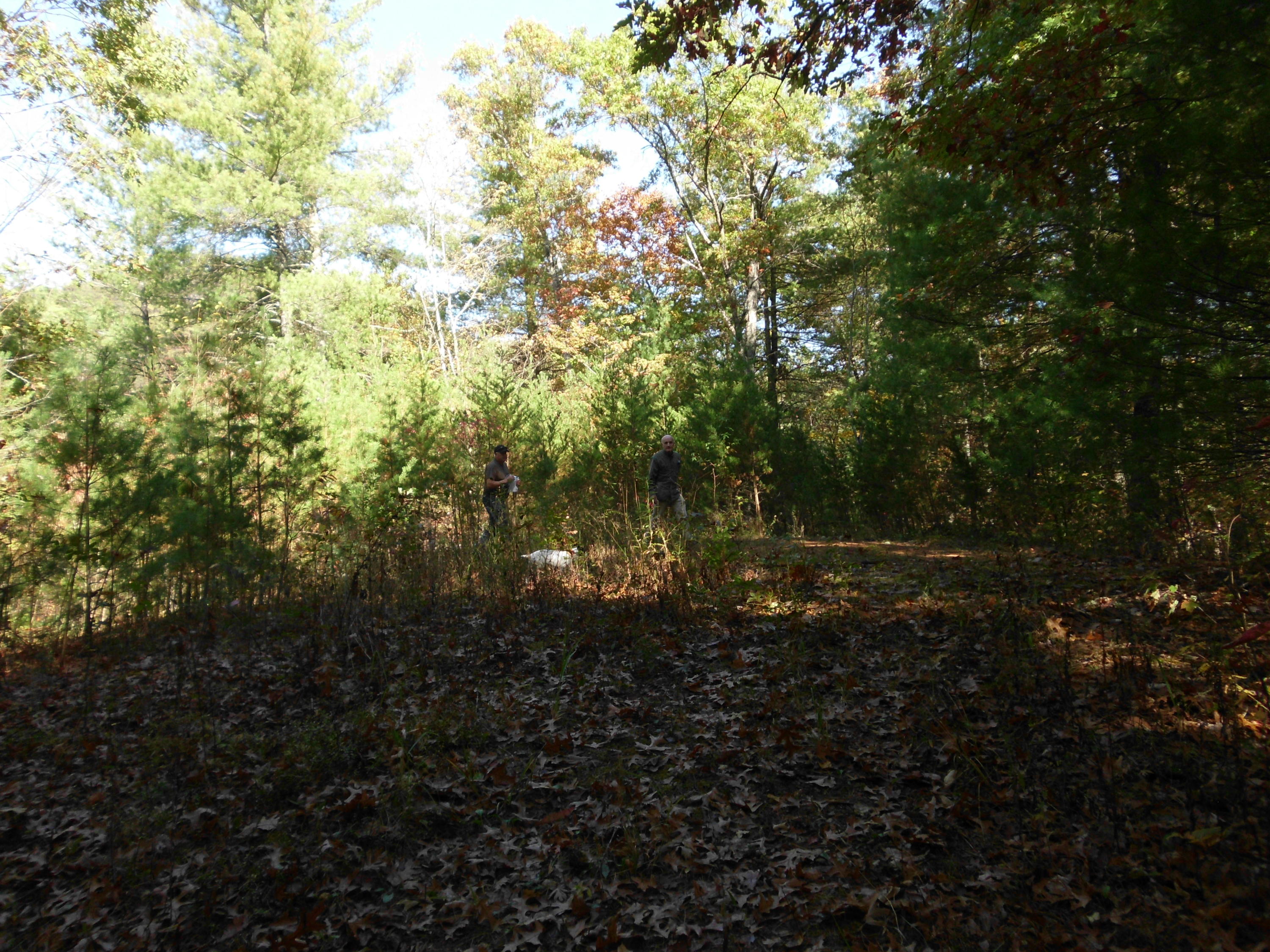 Smokey Run Road Tellico Plains, TN 37385 - Photo 13 of 16 SANY0087