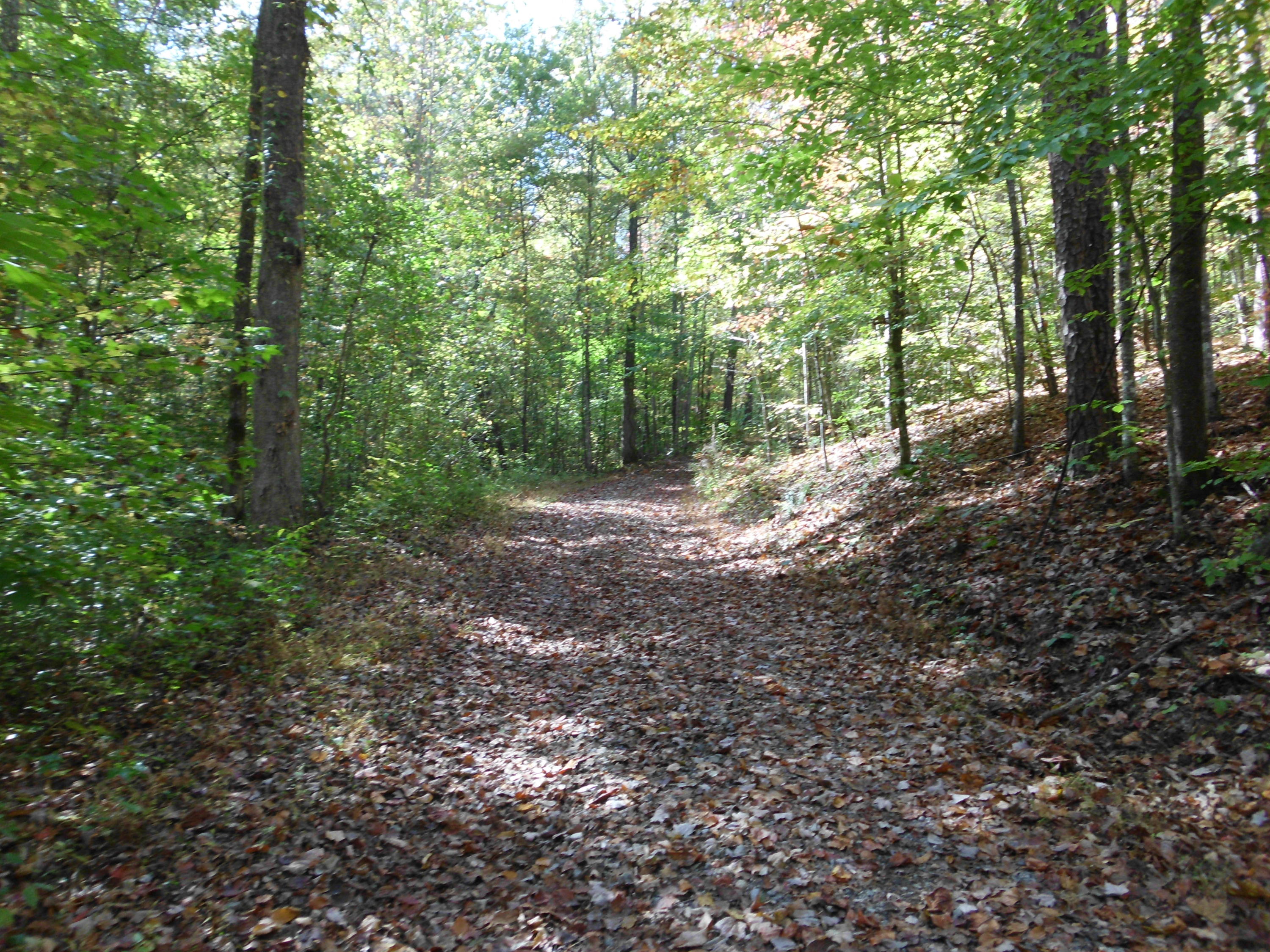 Smokey Run Road Tellico Plains, TN 37385 - Photo 15 of 16 SANY0089