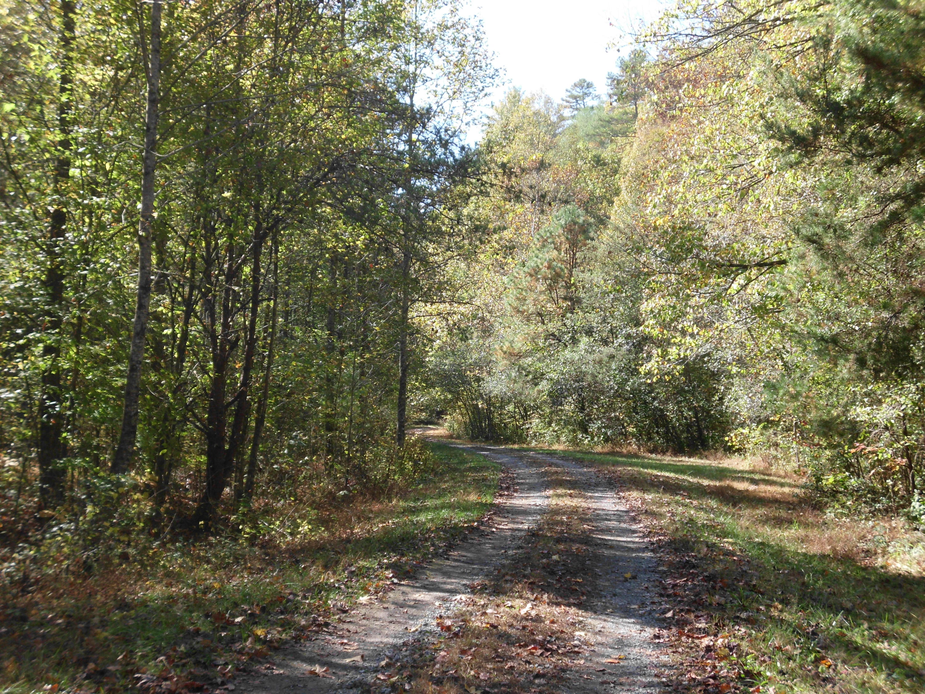 Smokey Run Road Tellico Plains, TN 37385 - Photo 16 of 16 SANY0090