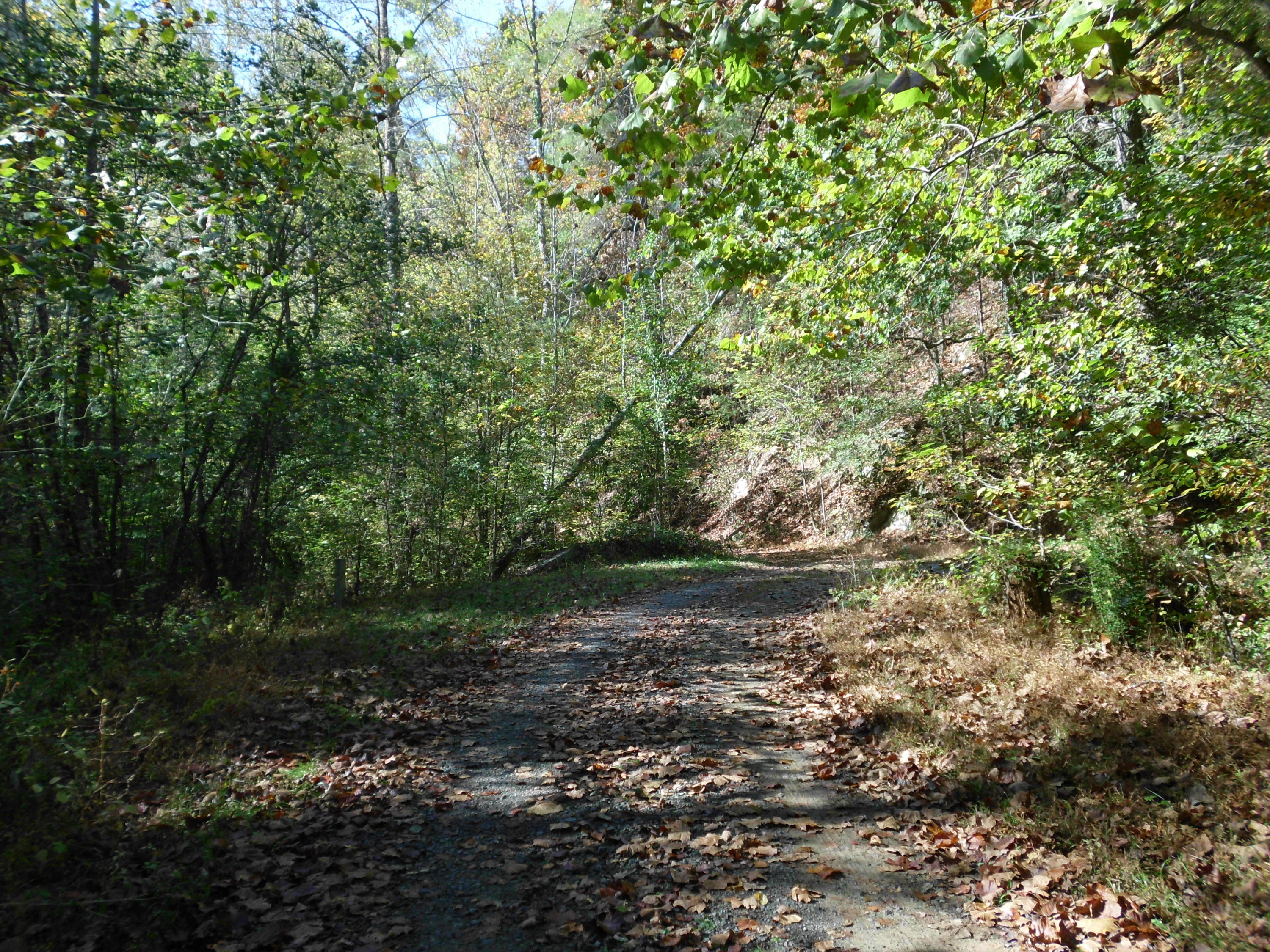 Smokey Run Road Tellico Plains, TN 37385 - Photo 3 of 16 SANY0076
