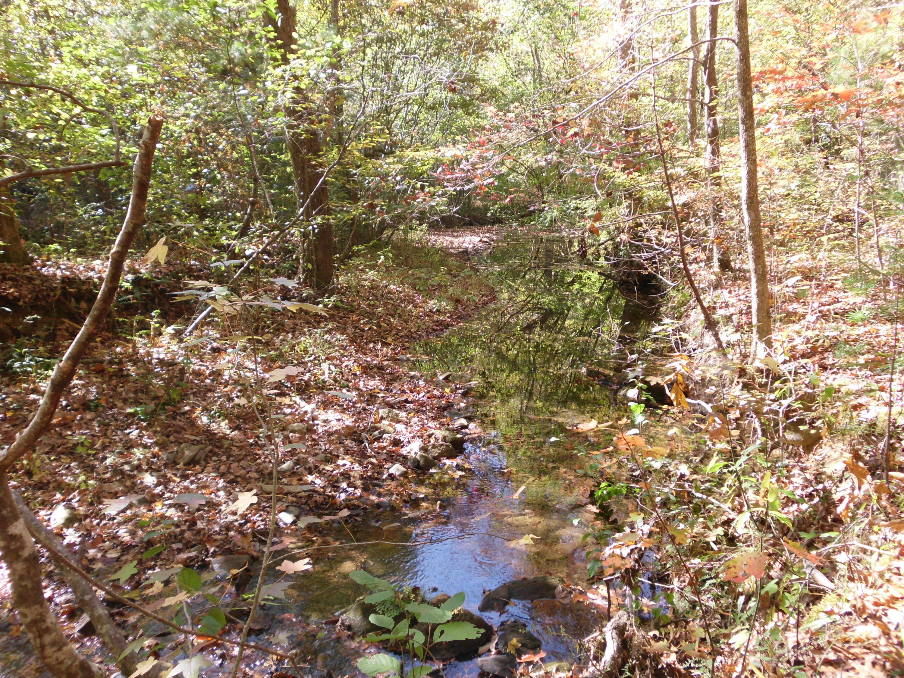 Smokey Run Road Tellico Plains, TN 37385 - Photo 8 of 16 SANY0082