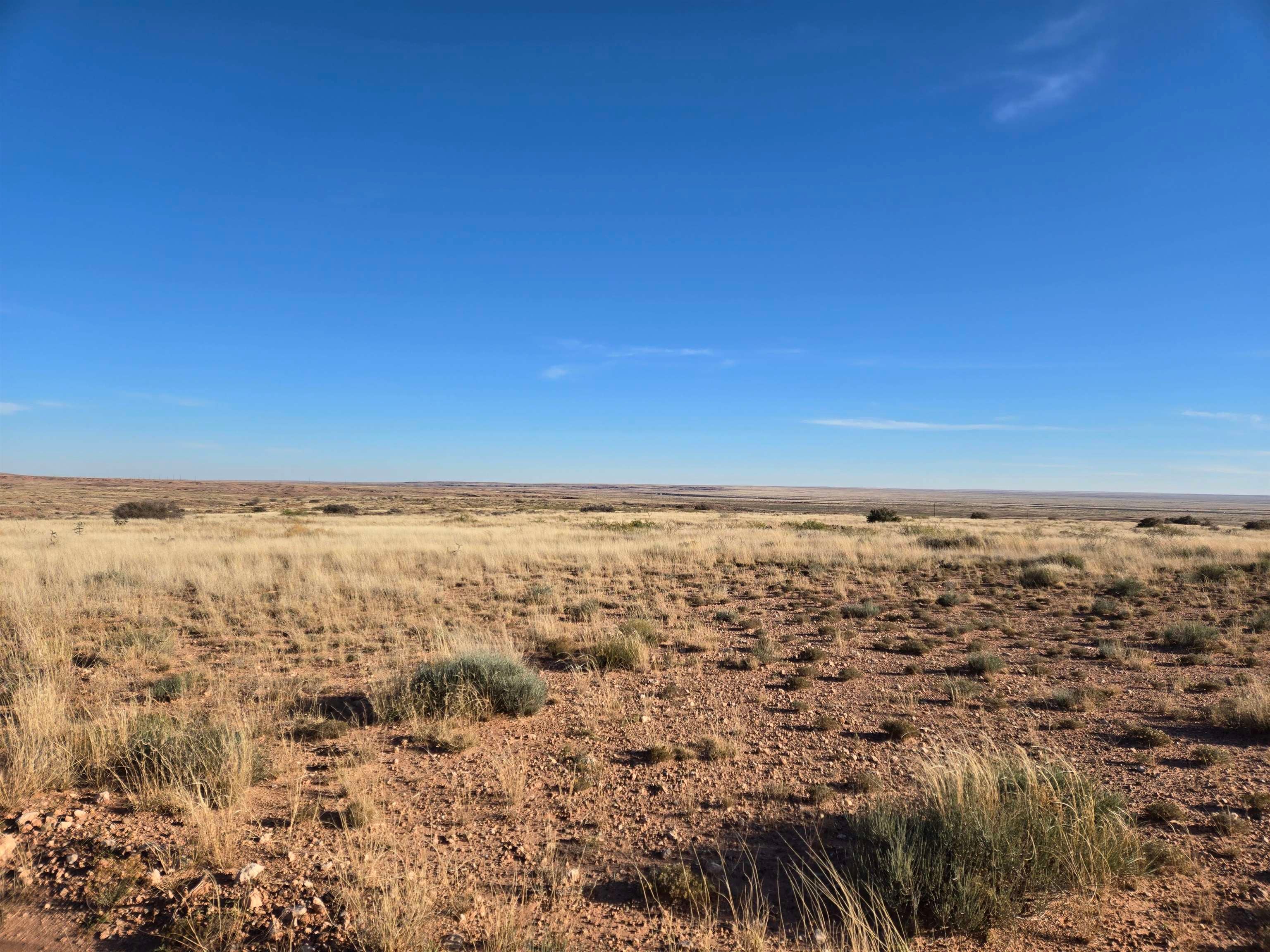5344 Red Lake Road Taiban, NM 88134 - Photo 23 of 89 Gallery Image 23