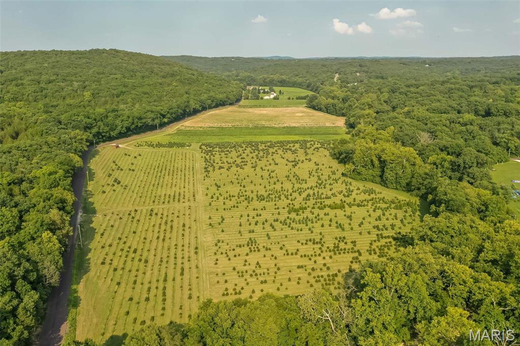 14560 Dry Fork Road Festus, MO 63028 - Photo 2 of 74