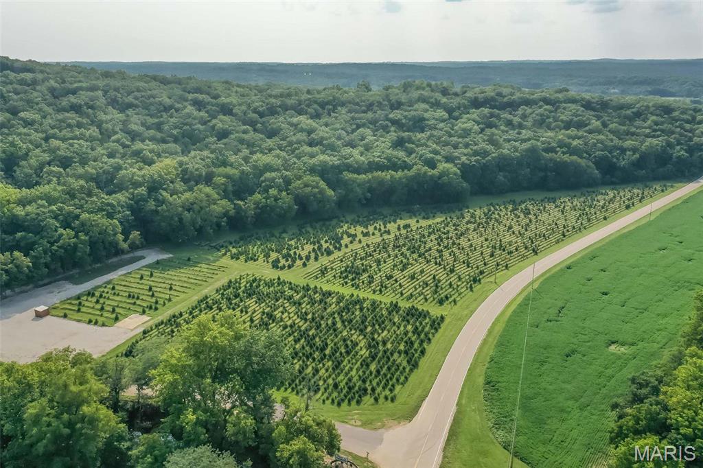 14560 Dry Fork Road Festus, MO 63028 - Photo 4 of 74