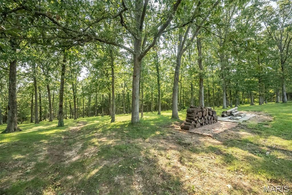 14560 Dry Fork Road Festus, MO 63028 - Photo 46 of 74
