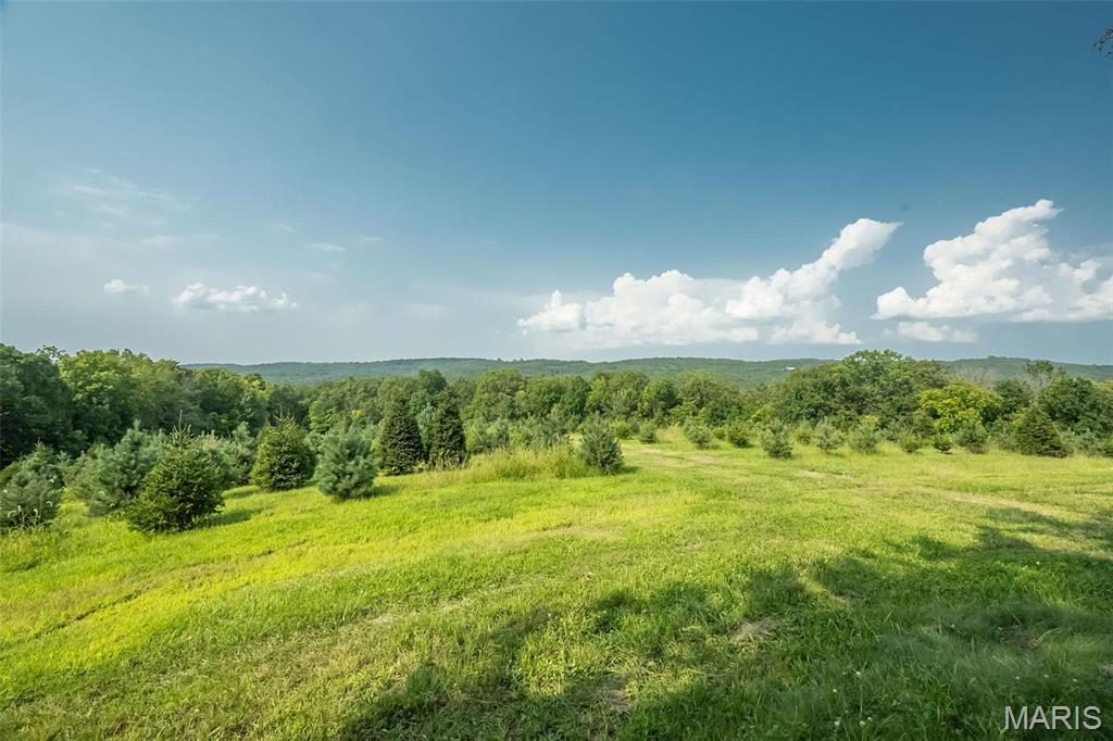 14560 Dry Fork Road Festus, MO 63028 - Photo 51 of 74