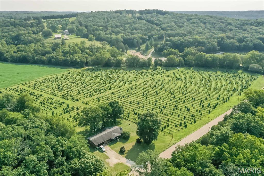 14560 Dry Fork Road Festus, MO 63028 - Photo 54 of 74