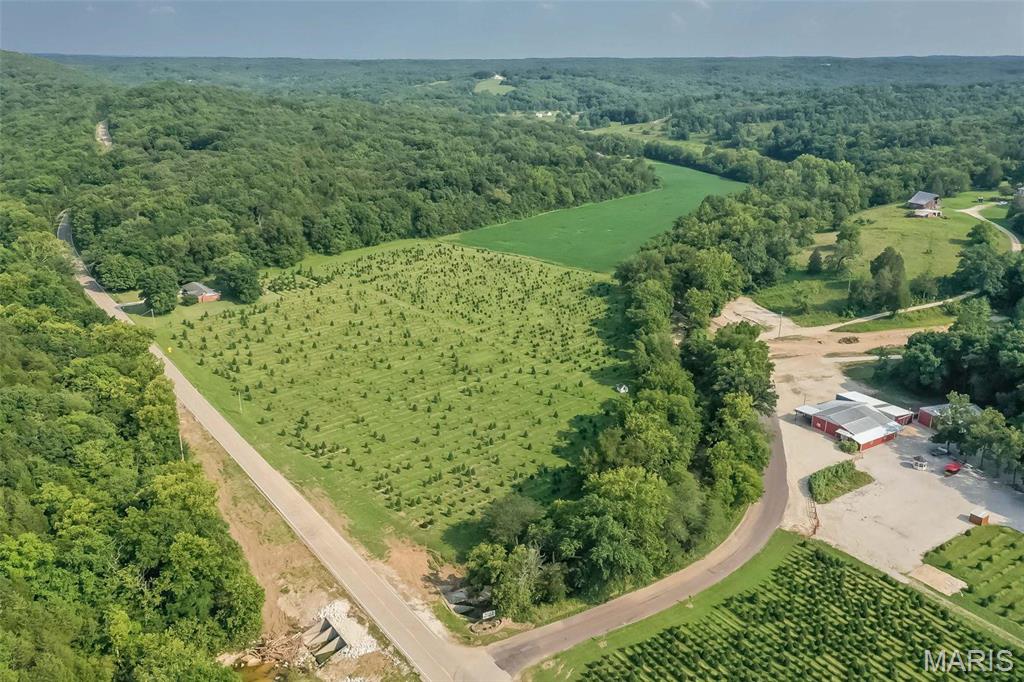 14560 Dry Fork Road Festus, MO 63028 - Photo 6 of 74