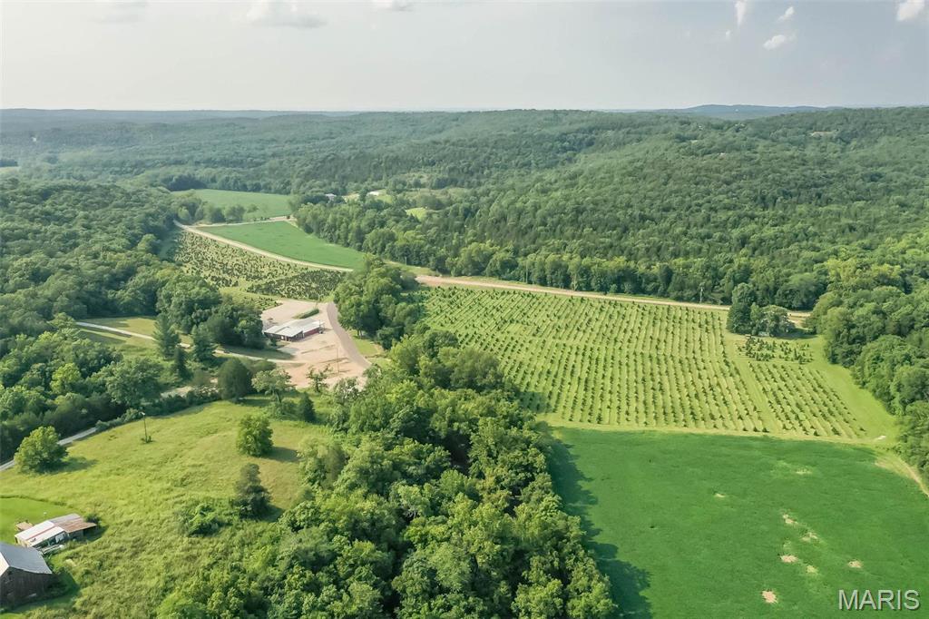 14560 Dry Fork Road Festus, MO 63028 - Photo 63 of 74