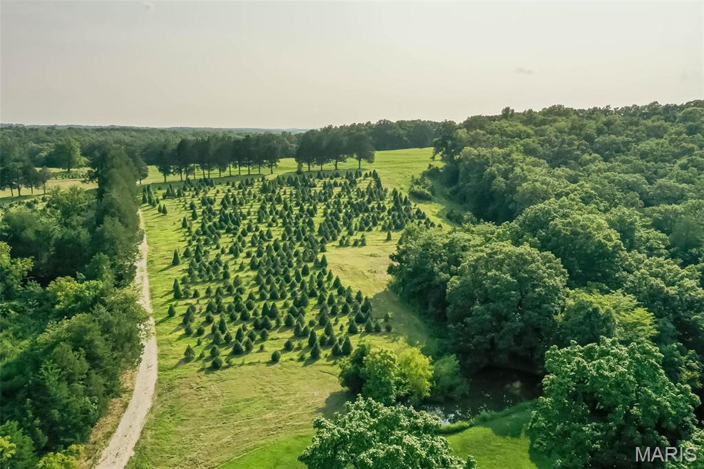 14560 Dry Fork Road Festus, MO 63028 - Photo 64 of 74