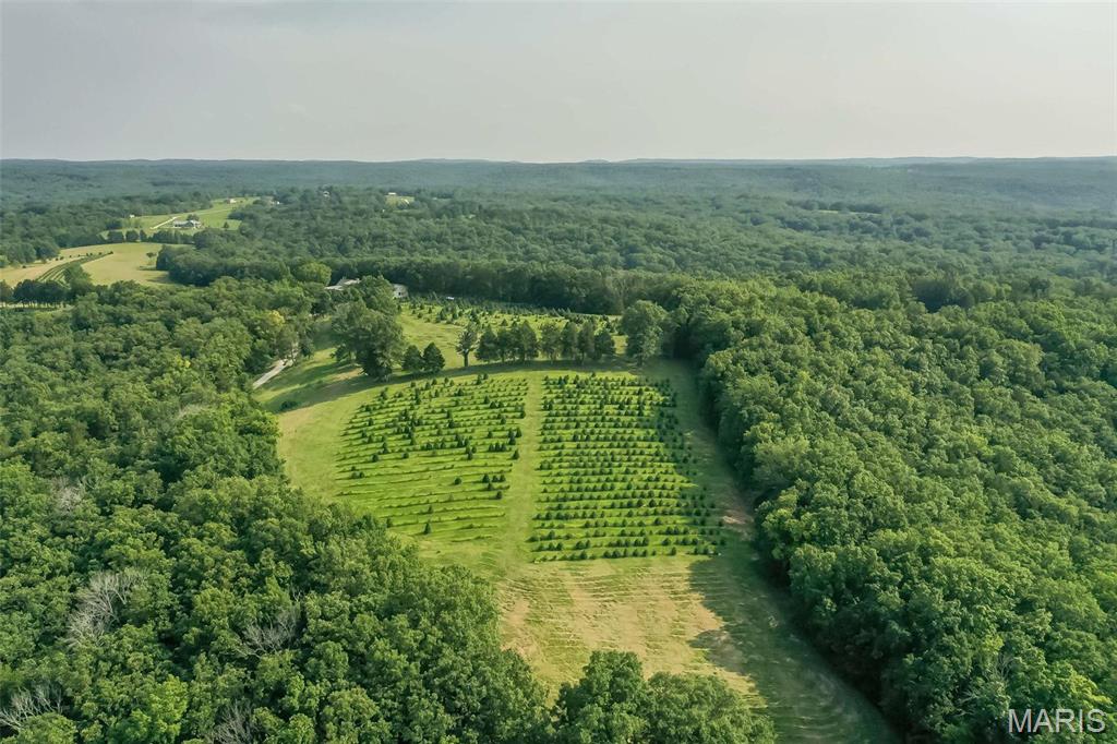 14560 Dry Fork Road Festus, MO 63028 - Photo 65 of 74