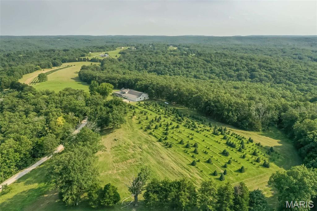 14560 Dry Fork Road Festus, MO 63028 - Photo 66 of 74