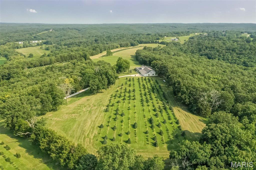 14560 Dry Fork Road Festus, MO 63028 - Photo 67 of 74