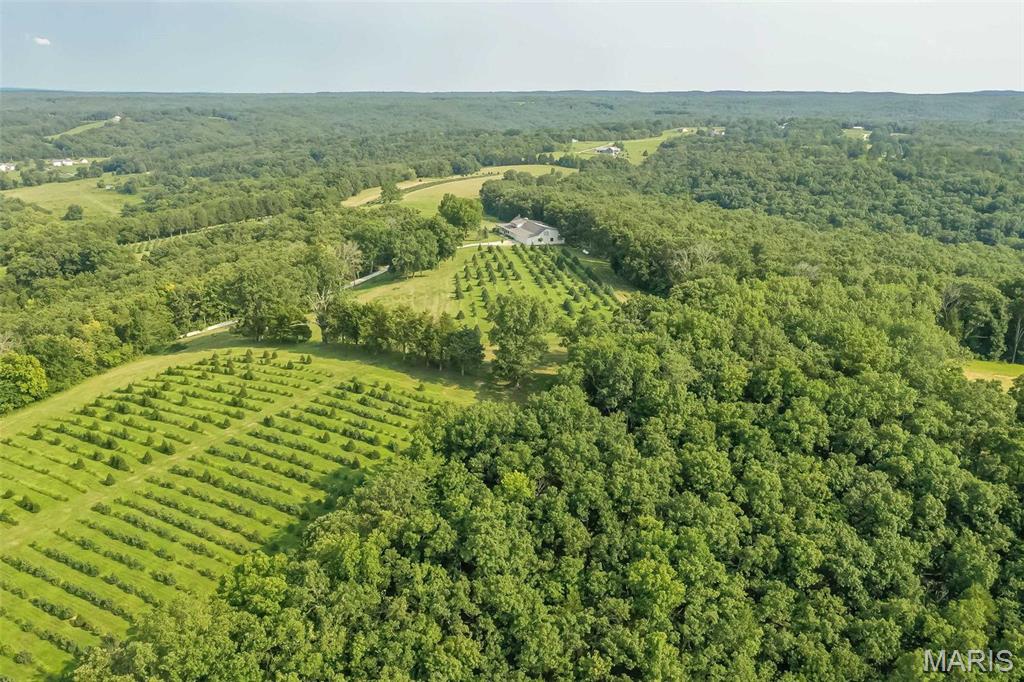 14560 Dry Fork Road Festus, MO 63028 - Photo 68 of 74