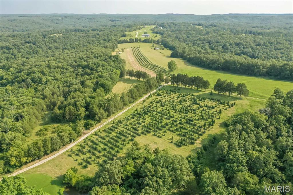 14560 Dry Fork Road Festus, MO 63028 - Photo 69 of 74