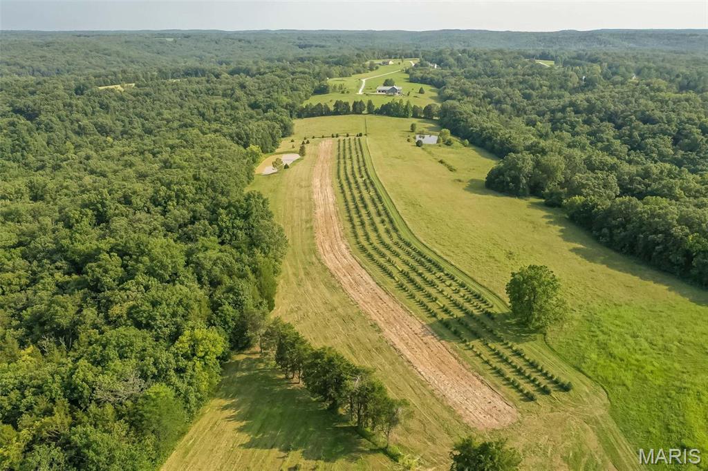 14560 Dry Fork Road Festus, MO 63028 - Photo 70 of 74