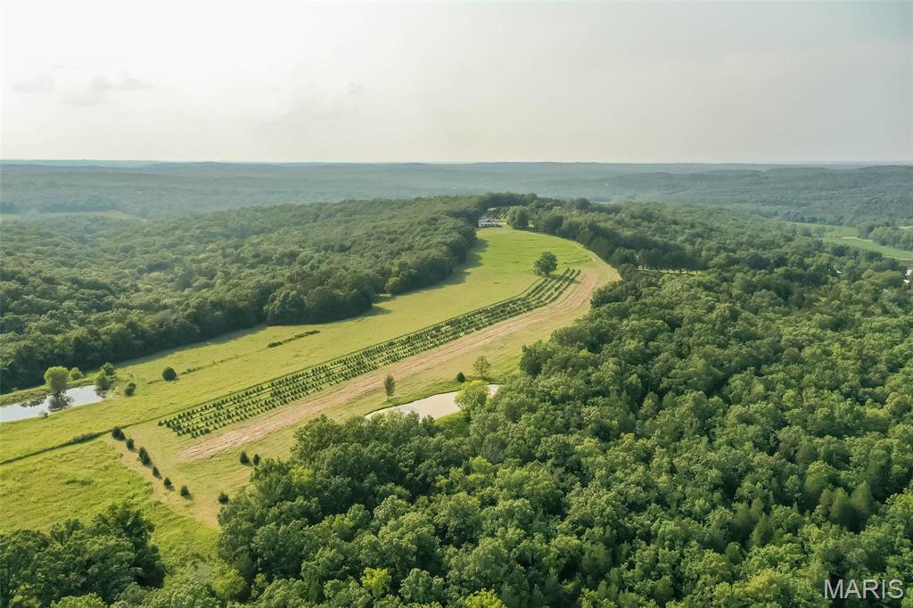 14560 Dry Fork Road Festus, MO 63028 - Photo 71 of 74