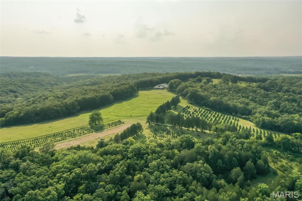 14560 Dry Fork Road Festus, MO 63028 - Photo 72 of 74