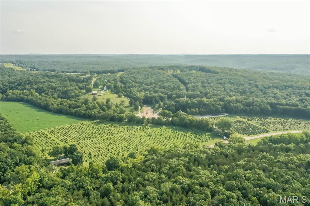 14560 Dry Fork Road Festus, MO 63028 - Photo 74 of 74