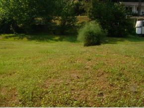 8129 South River Road Pound, VA 24279 - Photo 2 of 2 Photo 2