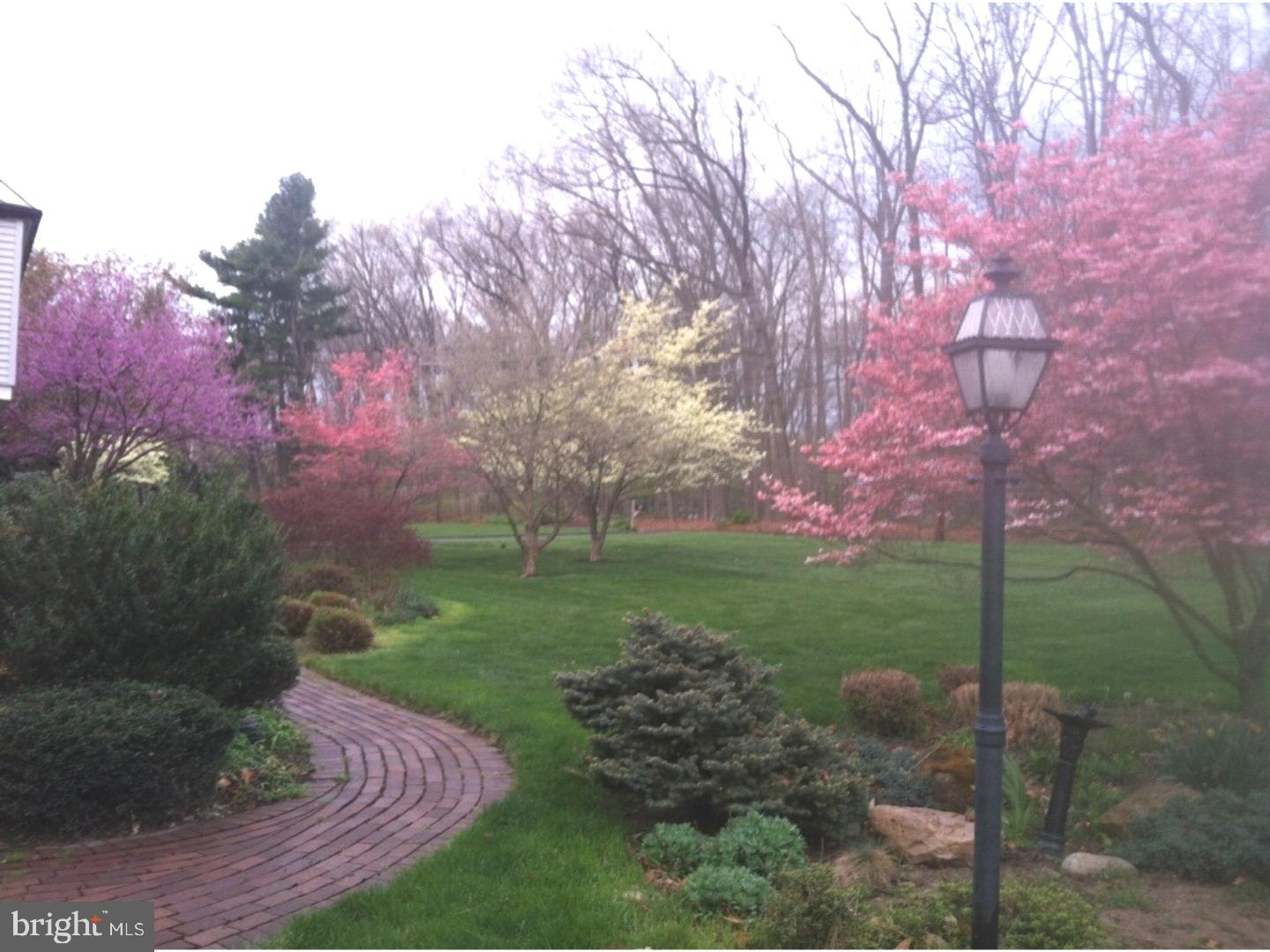 775 Spring Valley Road Doylestown, PA 18901 - Photo 3 of 24 Front Yard